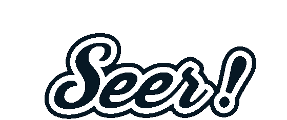 Seer Entertainment Production